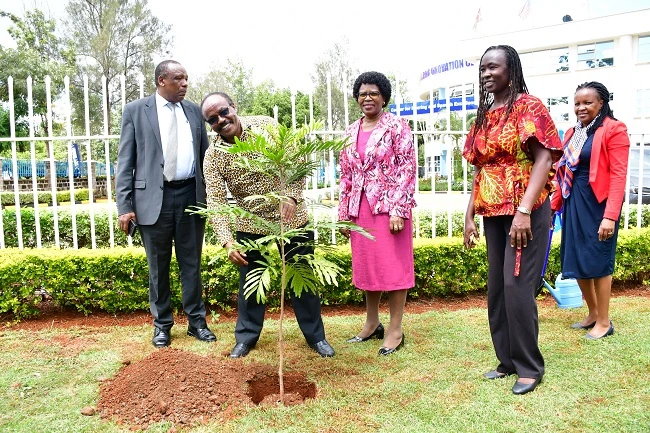Heri Tree Planting