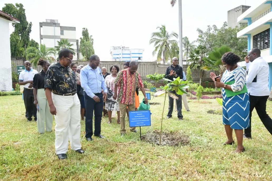 Vc Tree Planting